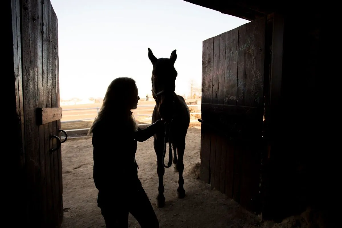 Custom Compositions for Horse Therapy