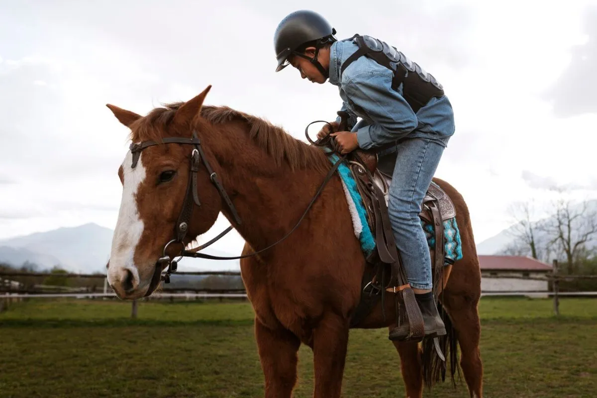 Equine-Powered Equipment