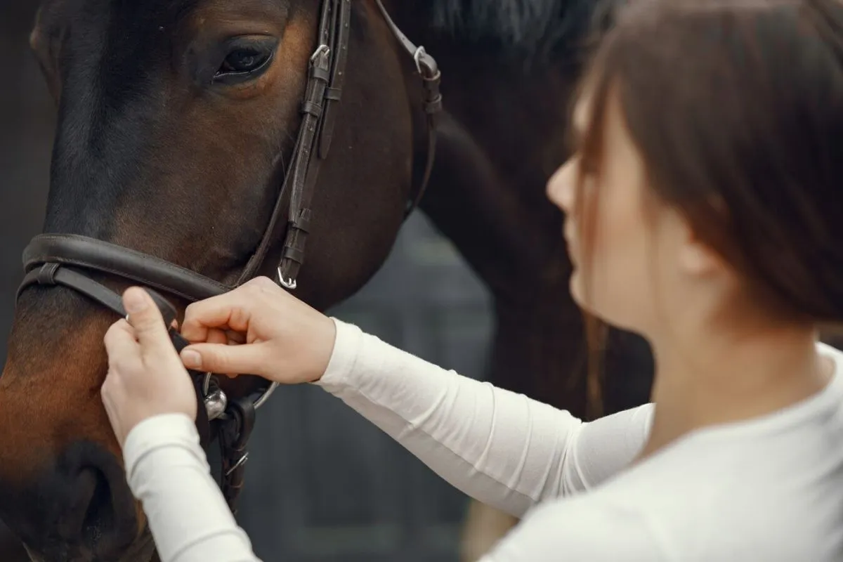 Equine Therapy for Anxiety Relief