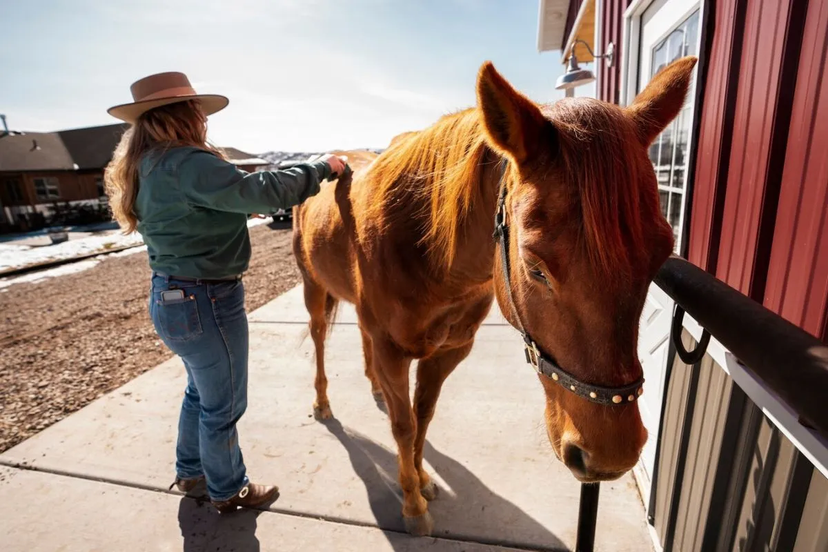 Horse-Powered Plowing Techniques