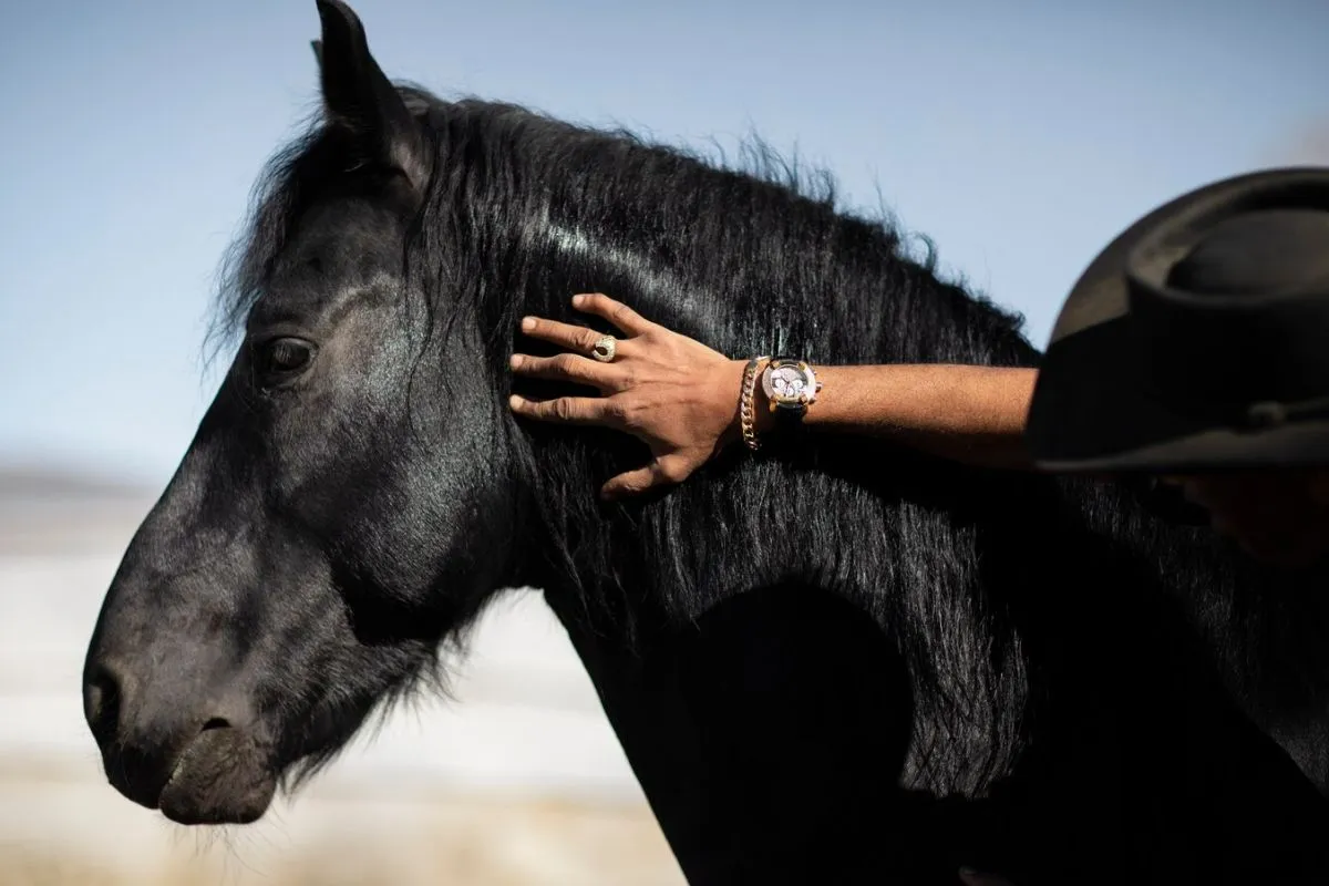 Horses in Digital Art Installations