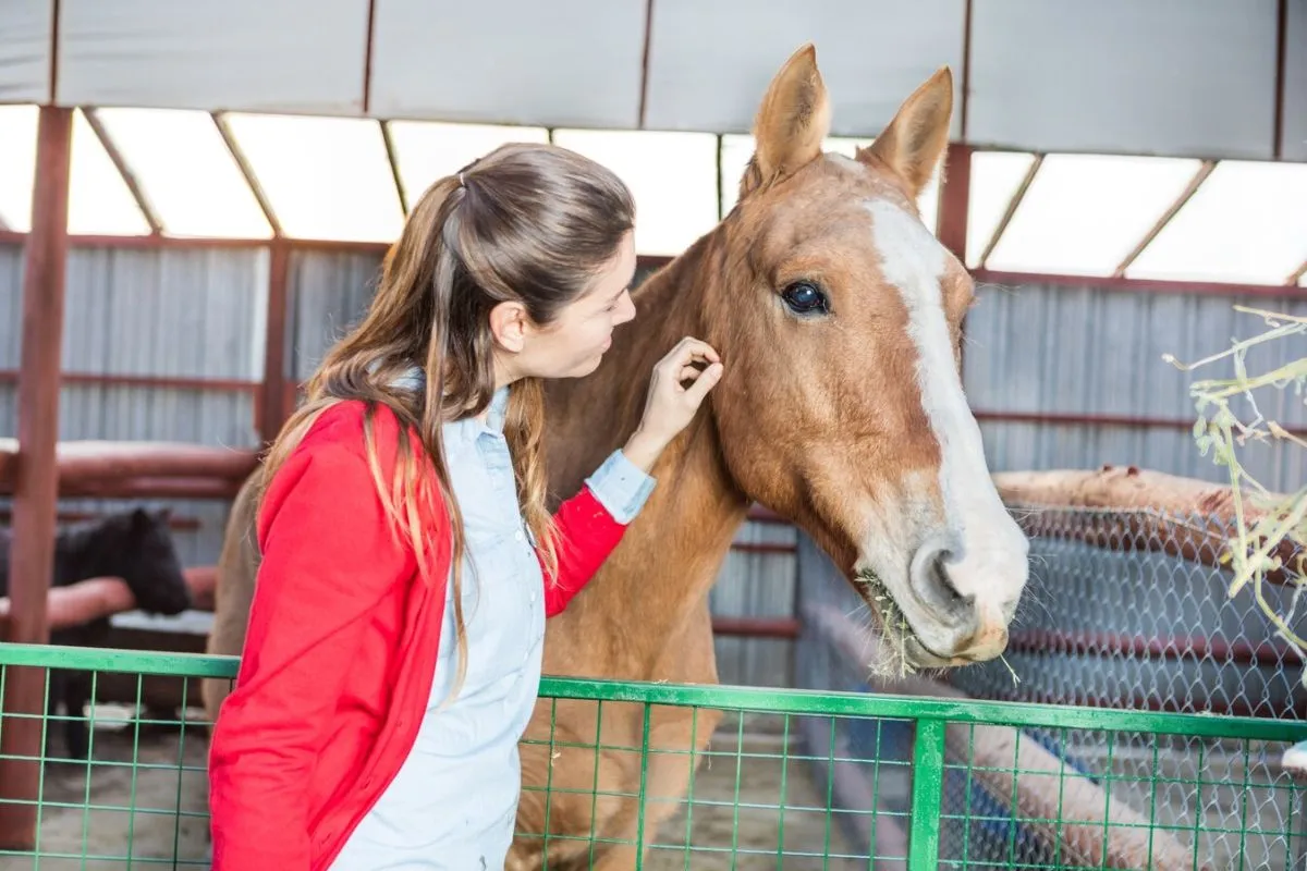 Nanotechnology in Equine Medicine