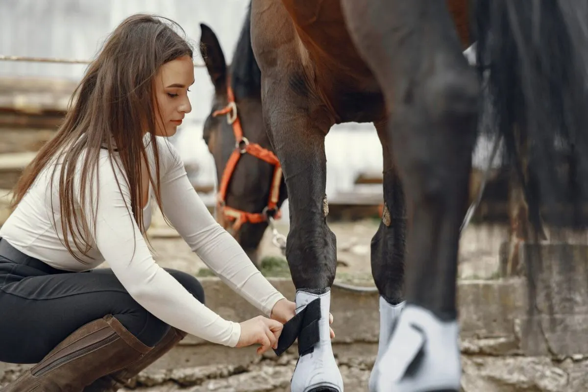 Smart Hoof Wearables for Equine Gait Analysis