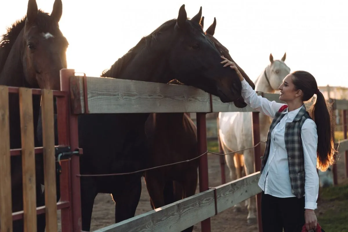 Smart Stables for Enhanced Equine Welfare