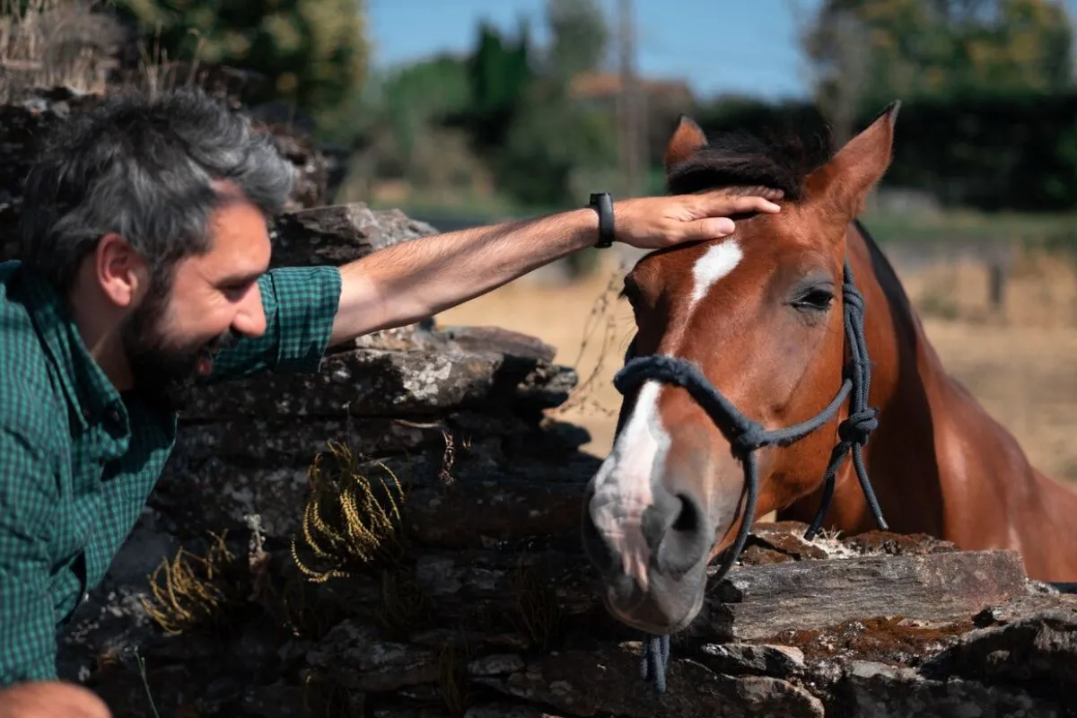 Using Horses for Weed Control